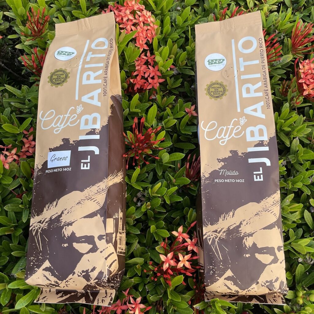 Cafe-El-Jibarito-flower-background-1024×1024