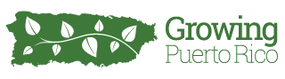 Growing Puerto Rico: Fresh, Clean, Local, Healthy, Delicious.